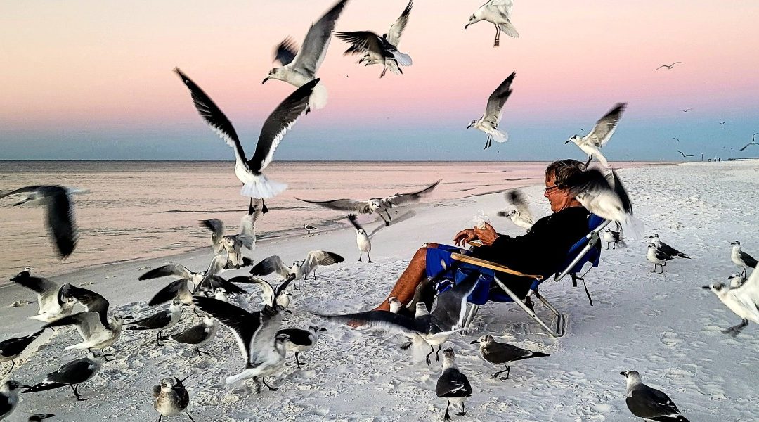 Effective Bird Control Solutions for Urban Areas