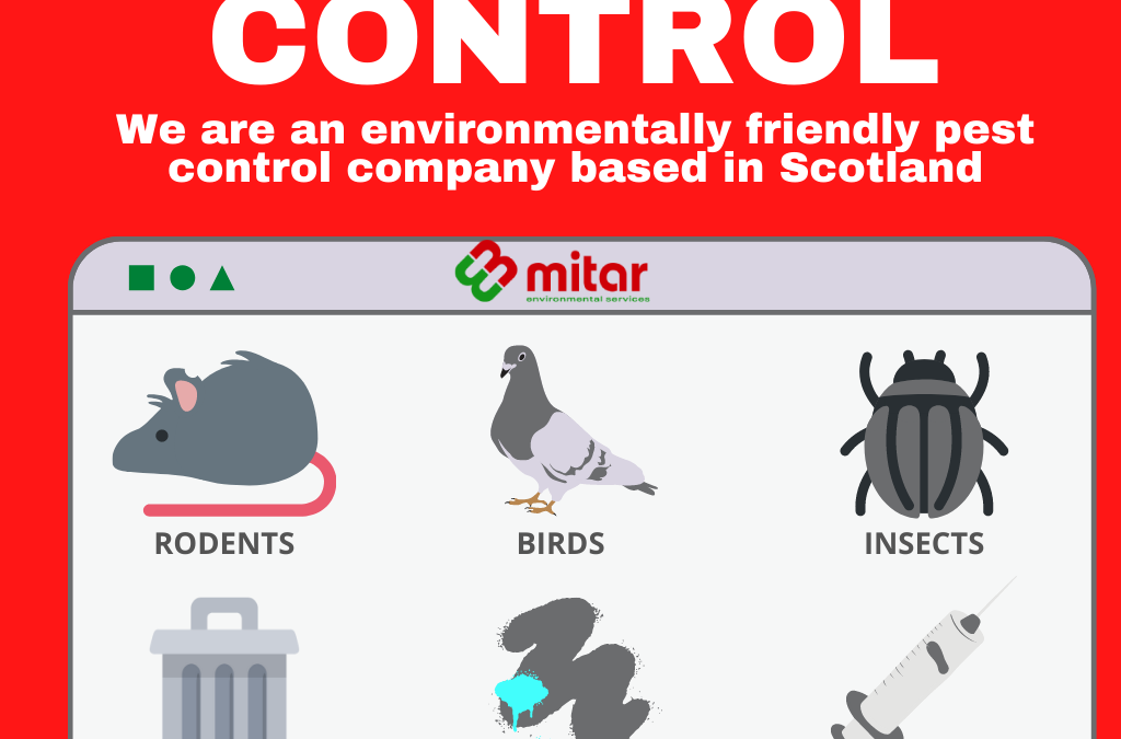 Understanding Pest Control Scotland