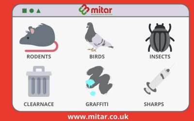 Where Can I Find Pest Control Scotland Near Me?