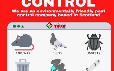Understanding Pest Control Scotland