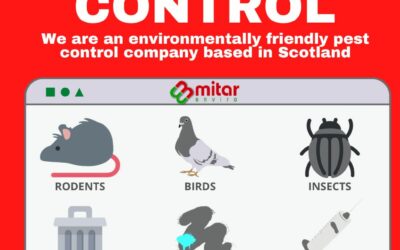 Pest Control Company In Scotland